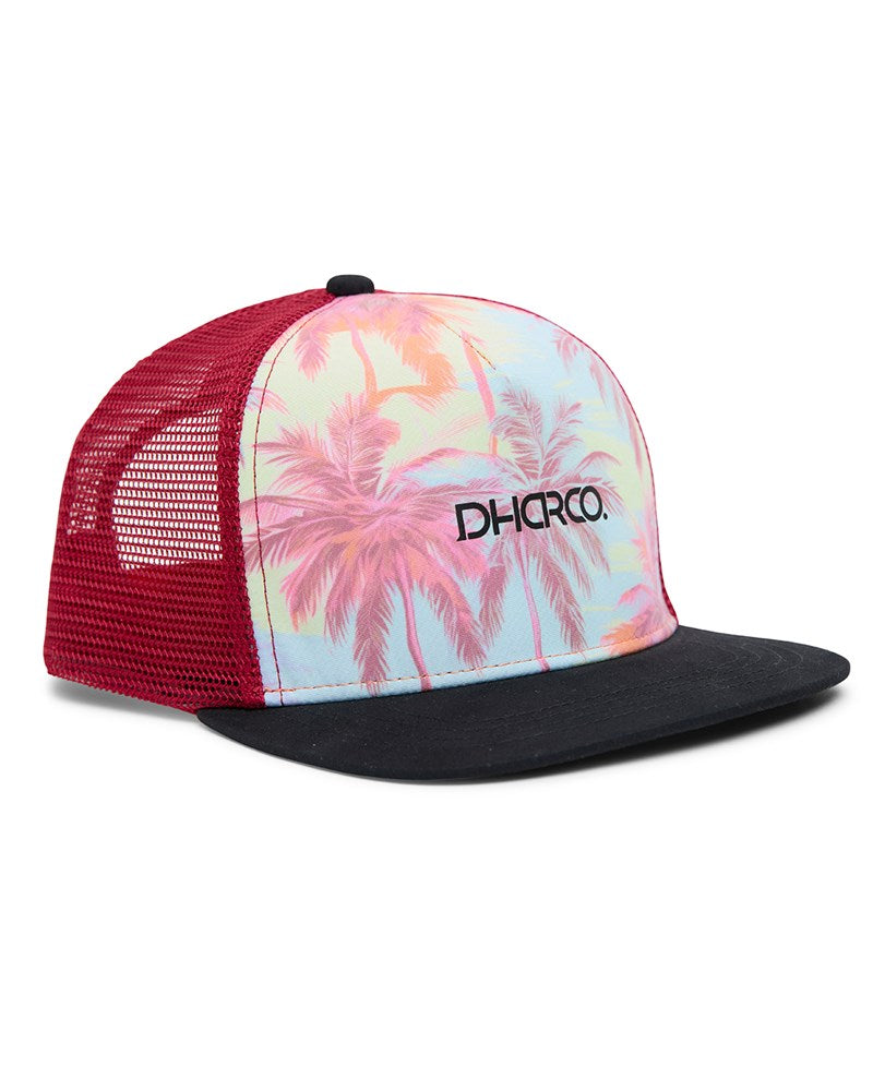 Flat Brim Youth | El Camino